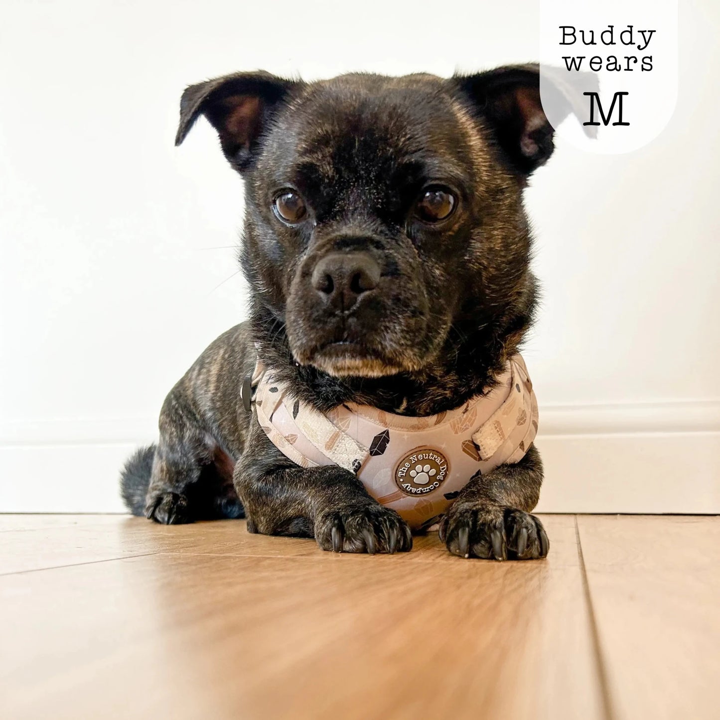 Adjustable Step-in Dog Harness - Crystal Couture - The Neutral Dog Company
