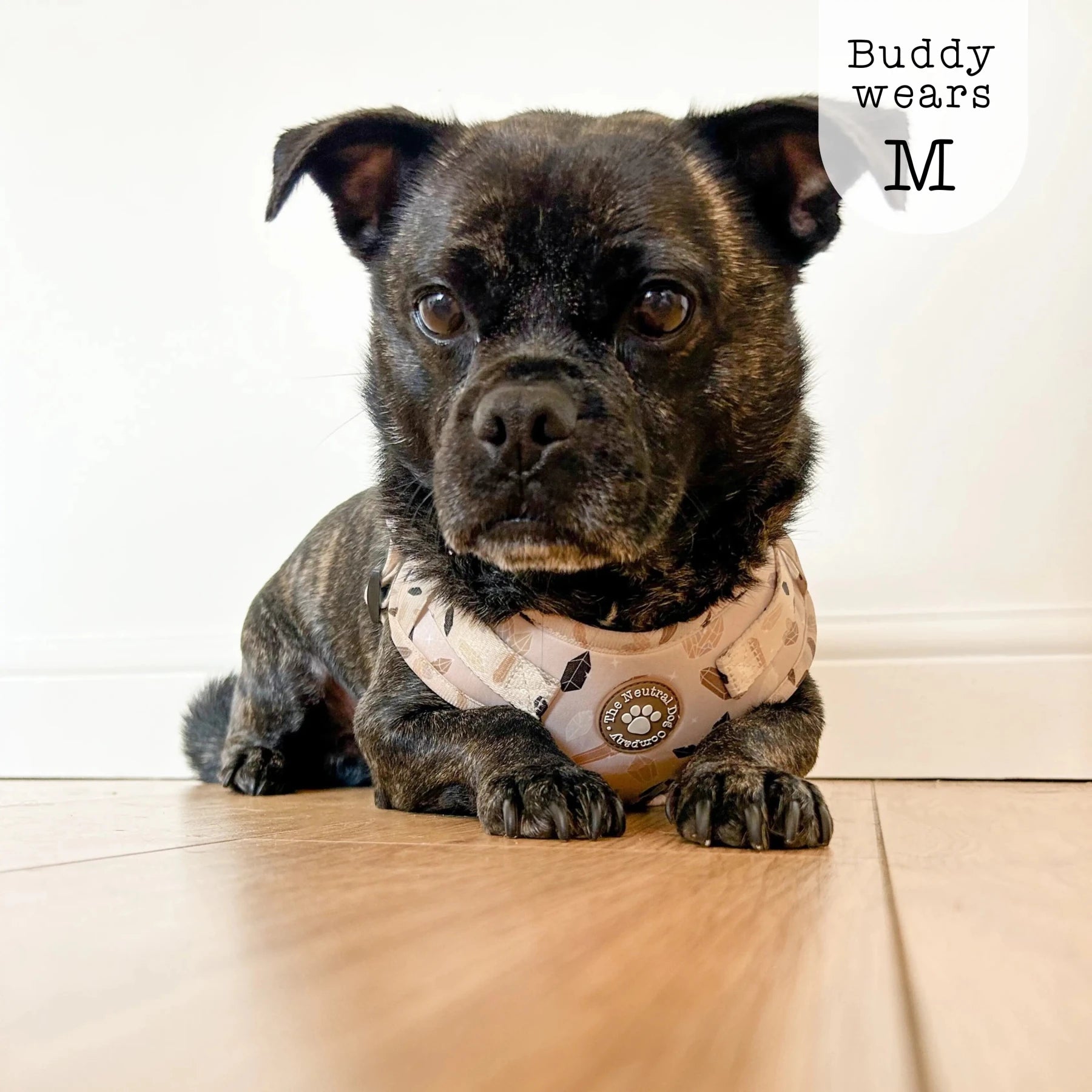 Adjustable Step-in Dog Harness - Crystal Couture - The Neutral Dog Company