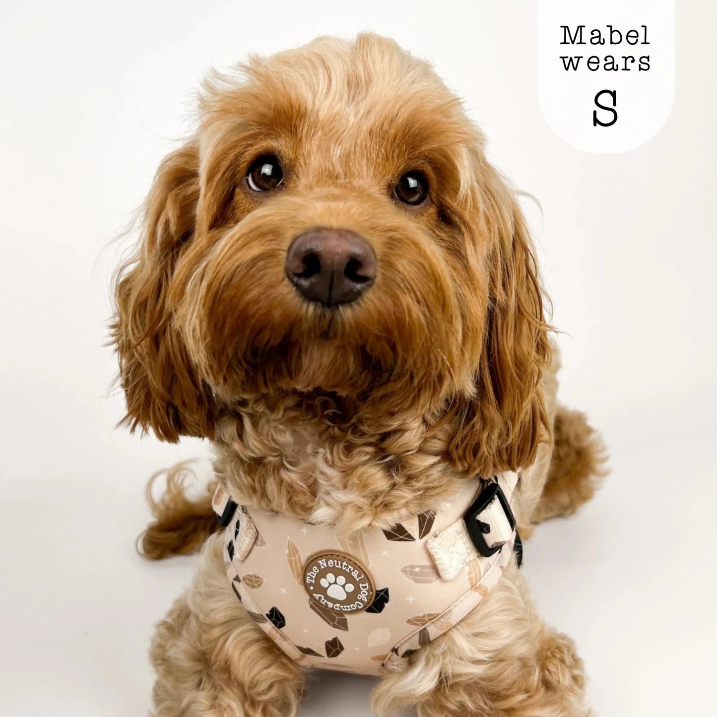 Adjustable Step-in Dog Harness - Crystal Couture - The Neutral Dog Company