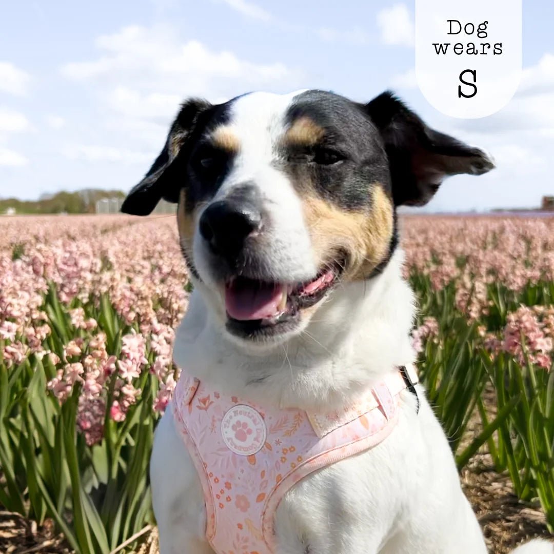 Adjustable Step-in Dog Harness - Floral Dreams - The Neutral Dog Company
