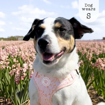 Adjustable Step-in Dog Harness - Floral Dreams - The Neutral Dog Company