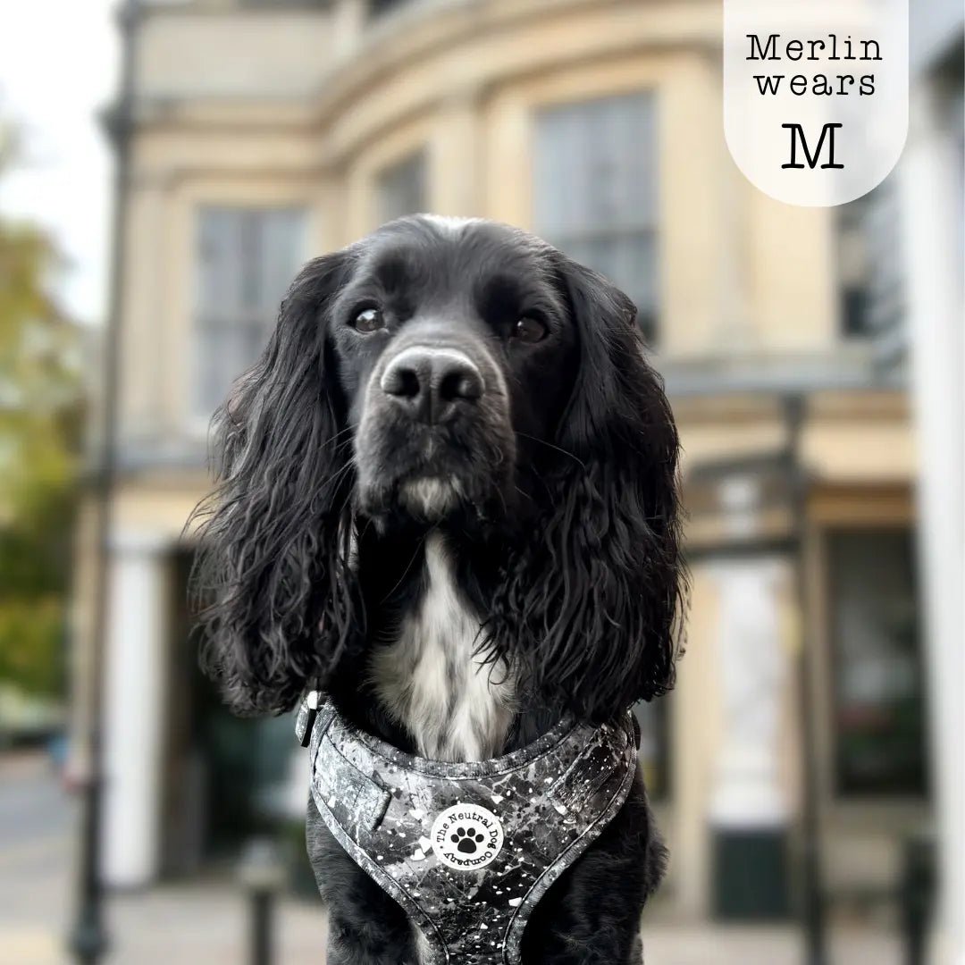 Adjustable Step-in Dog Harness - Midnight Storm - The Neutral Dog Company