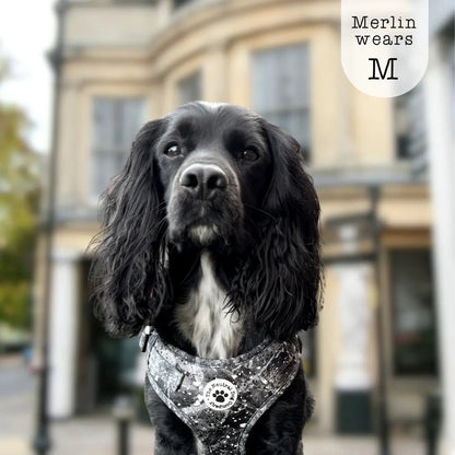 Adjustable Step-in Dog Harness - Midnight Storm - The Neutral Dog Company