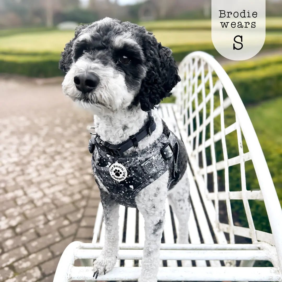 Adjustable Step-in Dog Harness - Midnight Storm - The Neutral Dog Company