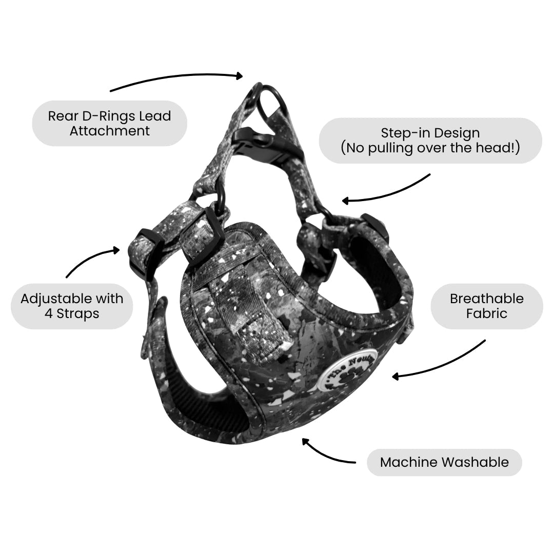 Adjustable Step-in Dog Harness - Midnight Storm - The Neutral Dog Company