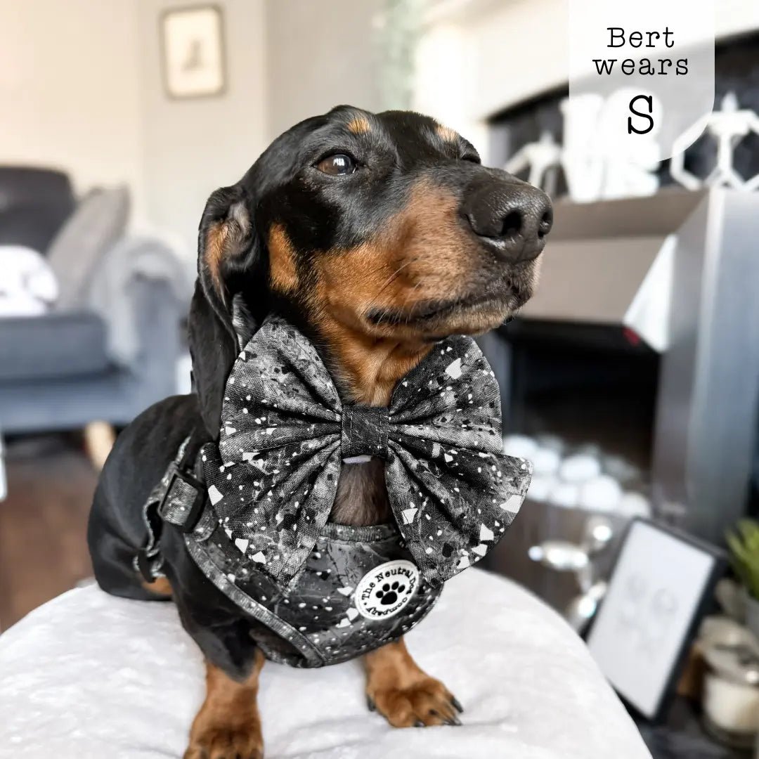 Adjustable Step-in Dog Harness - Midnight Storm - The Neutral Dog Company
