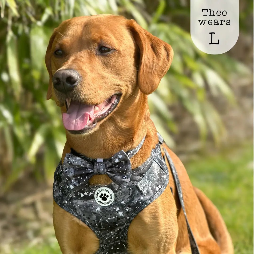 Adjustable Step-in Dog Harness - Midnight Storm - The Neutral Dog Company