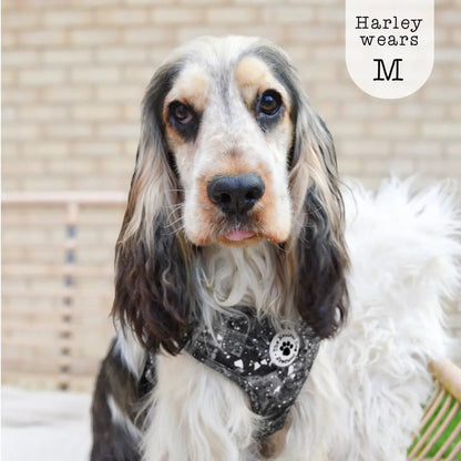 Adjustable Step-in Dog Harness - Midnight Storm - The Neutral Dog Company