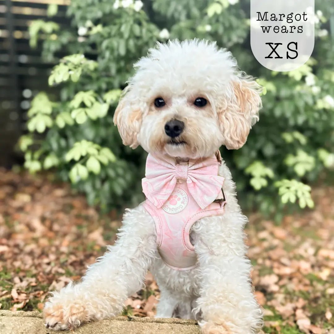 Adjustable Step-in Dog Harness - Strawberry Swirl - The Neutral Dog Company
