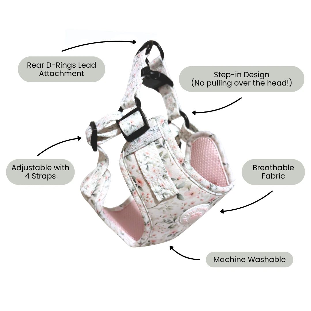 Adjustable Step-in Dog Harness - Wild Rose - The Neutral Dog Company