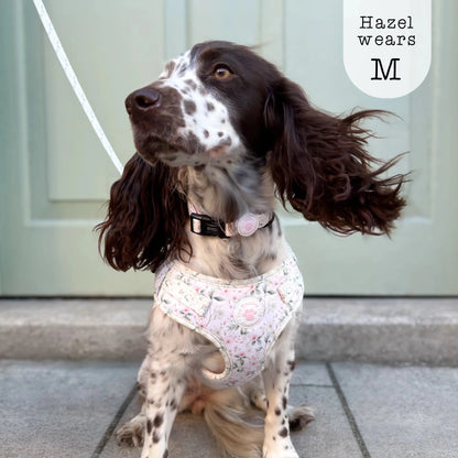 Adjustable Step-in Dog Harness - Wild Rose - The Neutral Dog Company