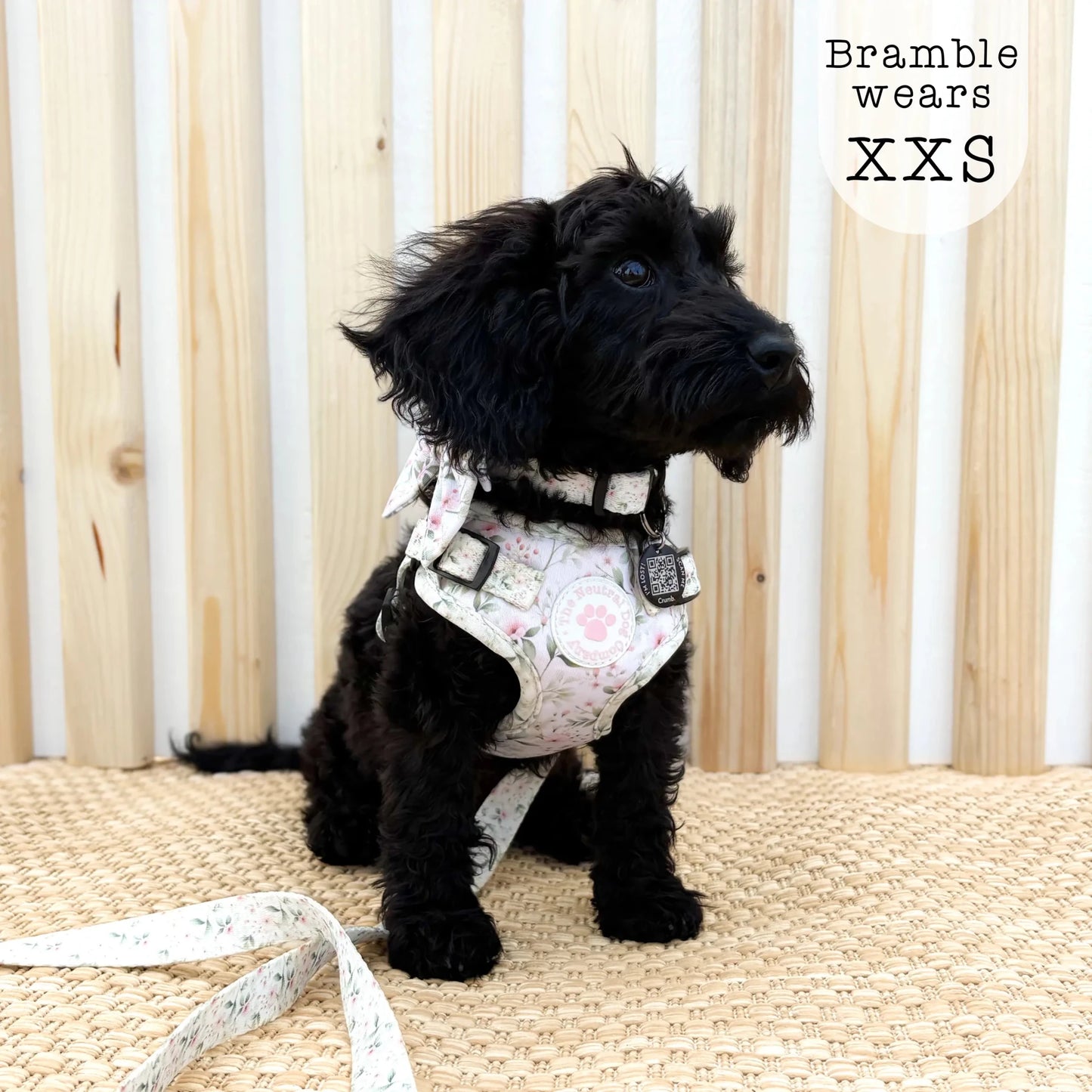Adjustable Step-in Dog Harness - Wild Rose - The Neutral Dog Company