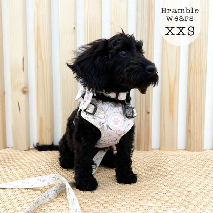 Adjustable Step-in Dog Harness - Wild Rose - The Neutral Dog Company
