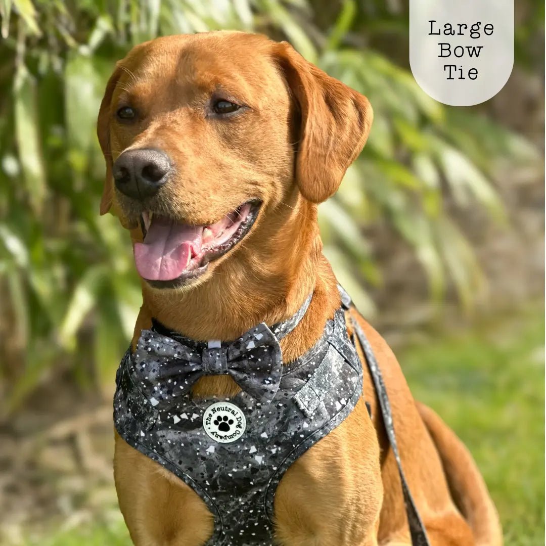 Bow Tie - Midnight Storm - The Neutral Dog Company