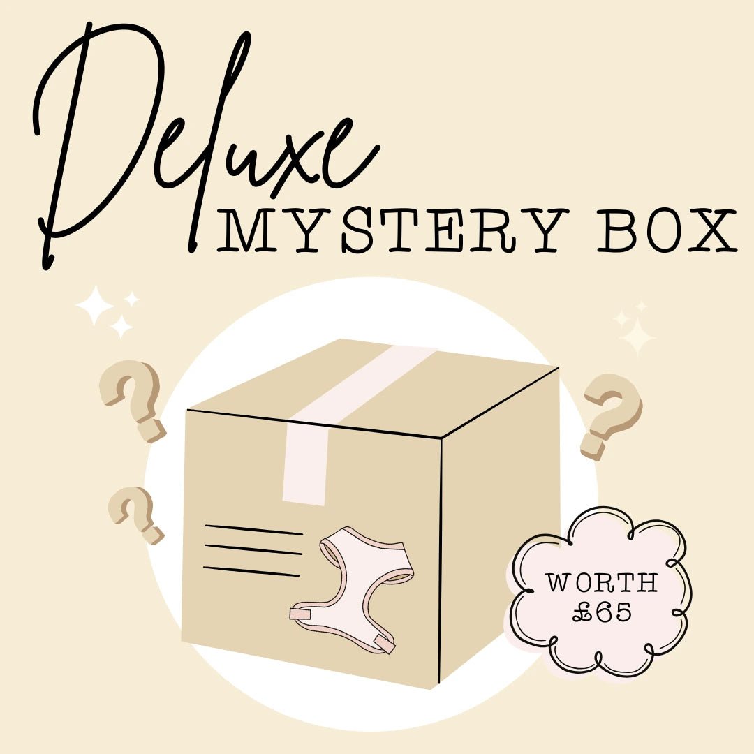 Deluxe Mystery Box - The Neutral Dog Company