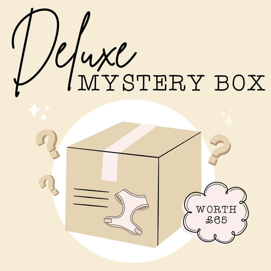 Deluxe Mystery Box - The Neutral Dog Company