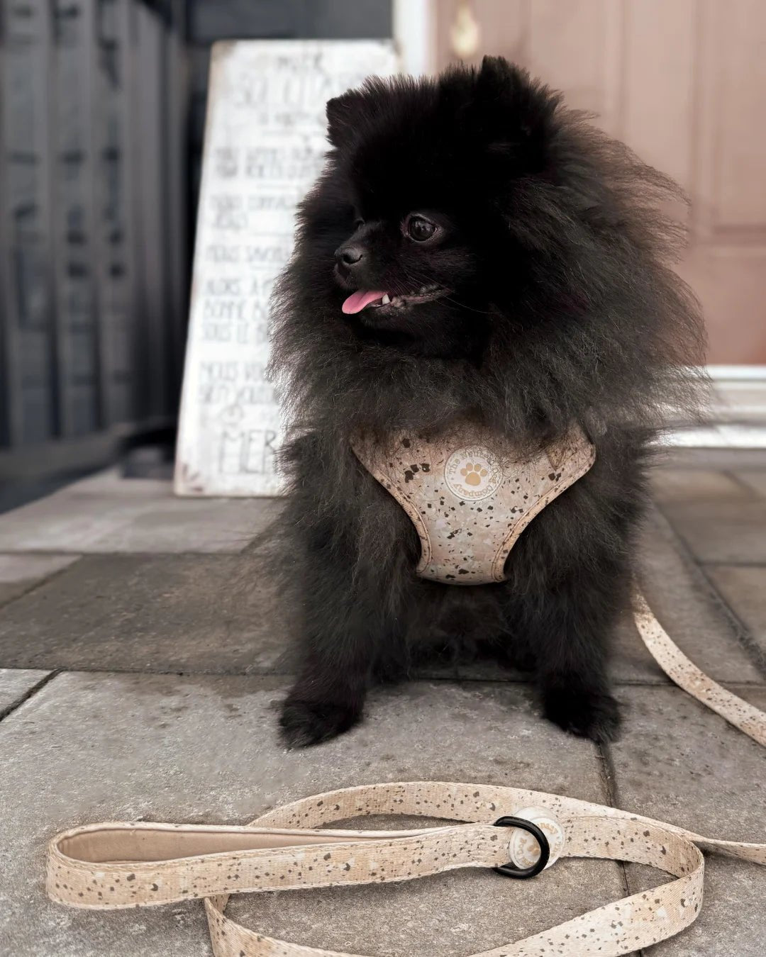 Dog Lead - Desert Storm - The Neutral Dog Company