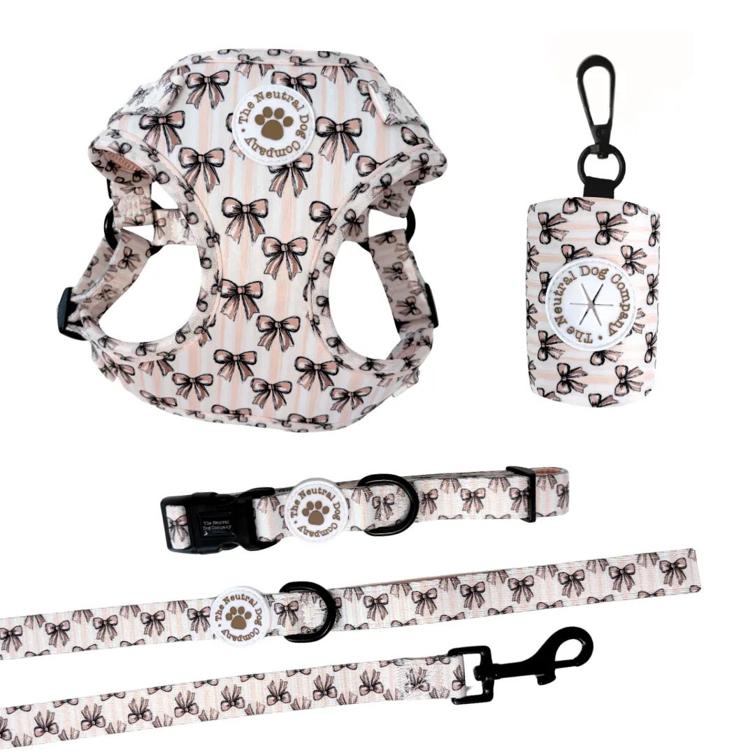Essential Step-in Dog Harness Bundle - Biscotti Bows - The Neutral Dog Company