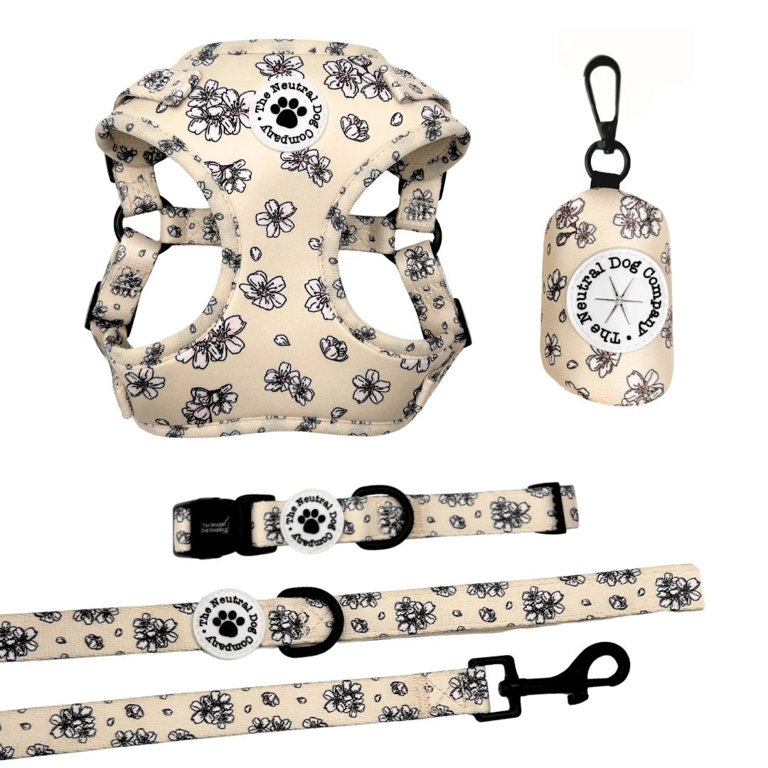 Essential Step-in Dog Harness Bundle - Blooming Blossom - The Neutral Dog Company