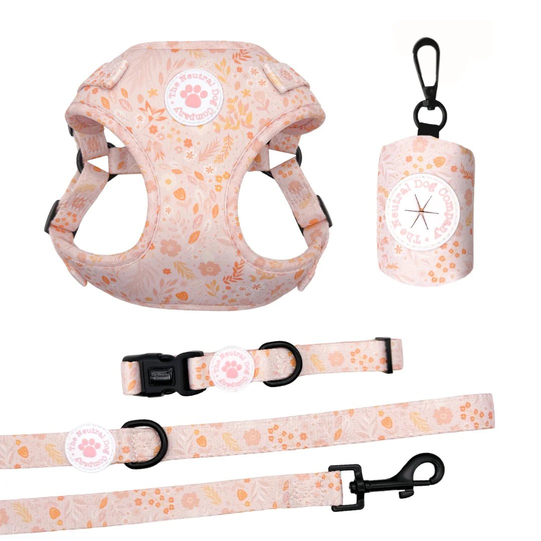 Essential Step-in Dog Harness Bundle - Floral Dreams - The Neutral Dog Company