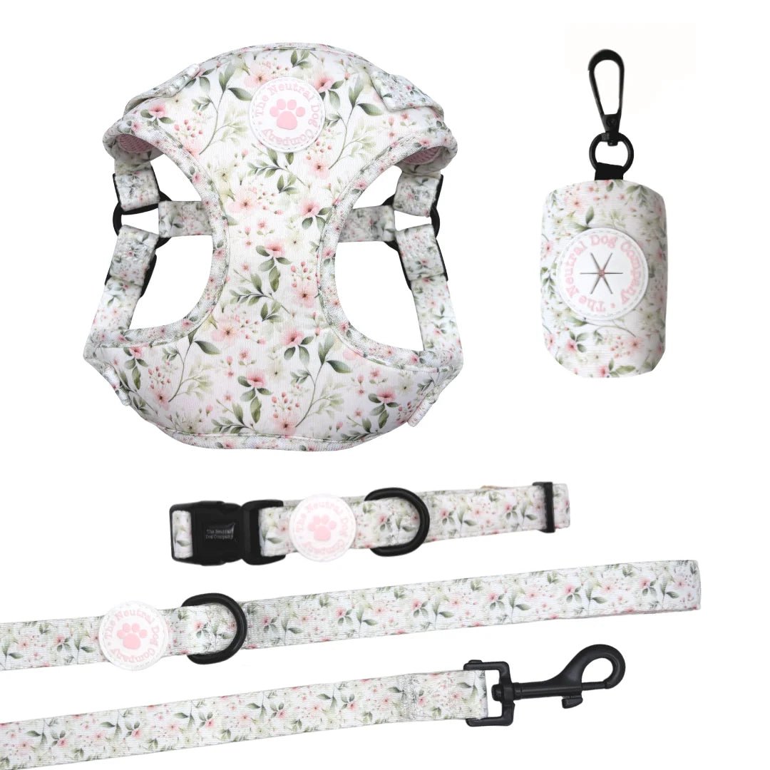 Essential Step-in Dog Harness Bundle - Wild Rose - The Neutral Dog Company