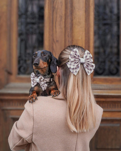 Hair Bow - Biscotti Bows - The Neutral Dog Company