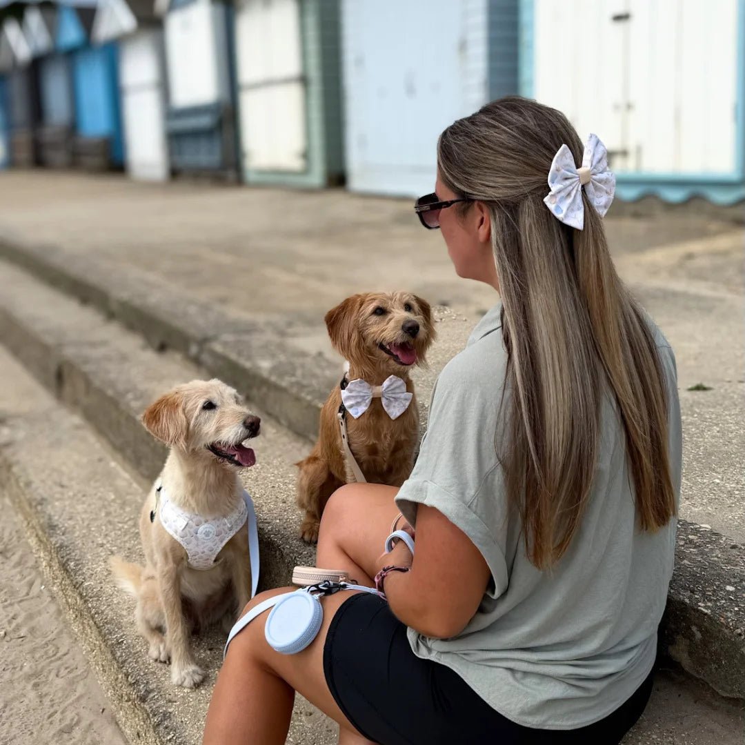 Hair Bow - Seaside Serenity - The Neutral Dog Company