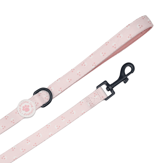 Lead - Cotton Candy - The Neutral Dog Company