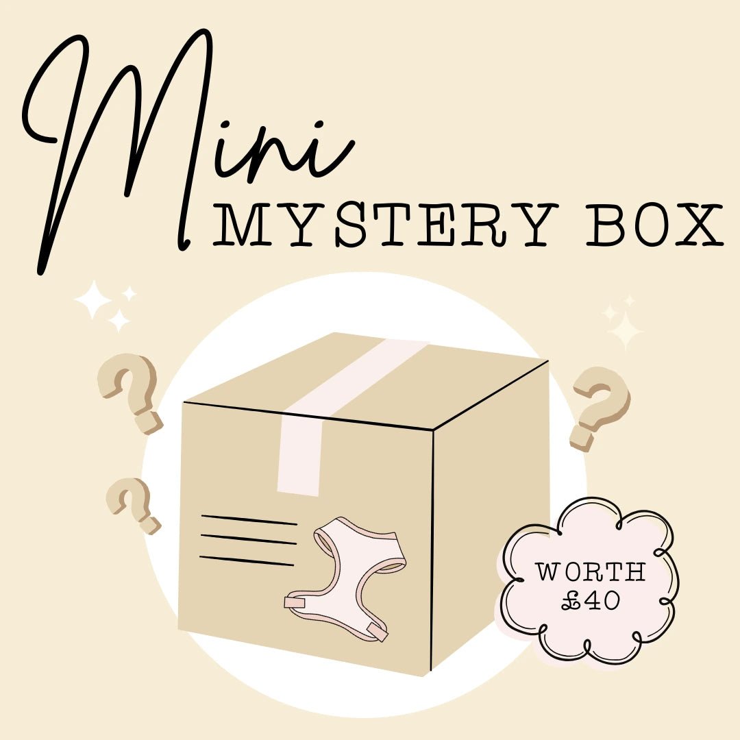 Mini Mystery Box - The Neutral Dog Company