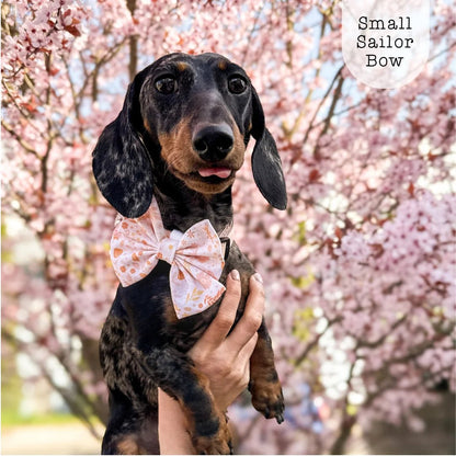 Sailor Bow - Floral Dreams - The Neutral Dog Company