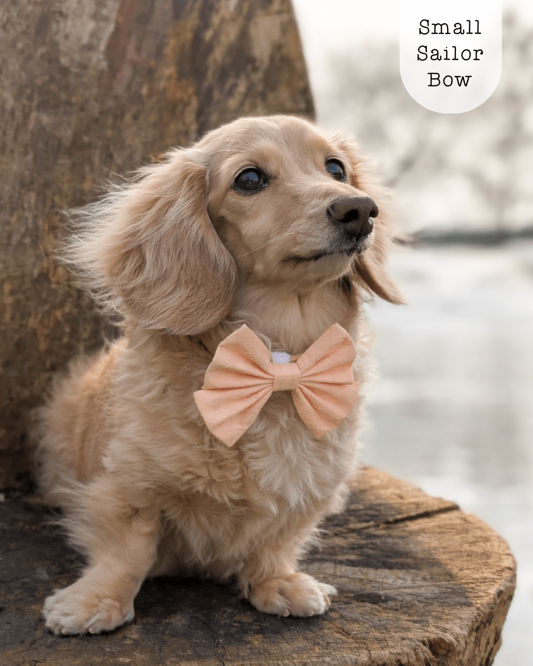 Sailor Bow - Quilted Peach - The Neutral Dog Company