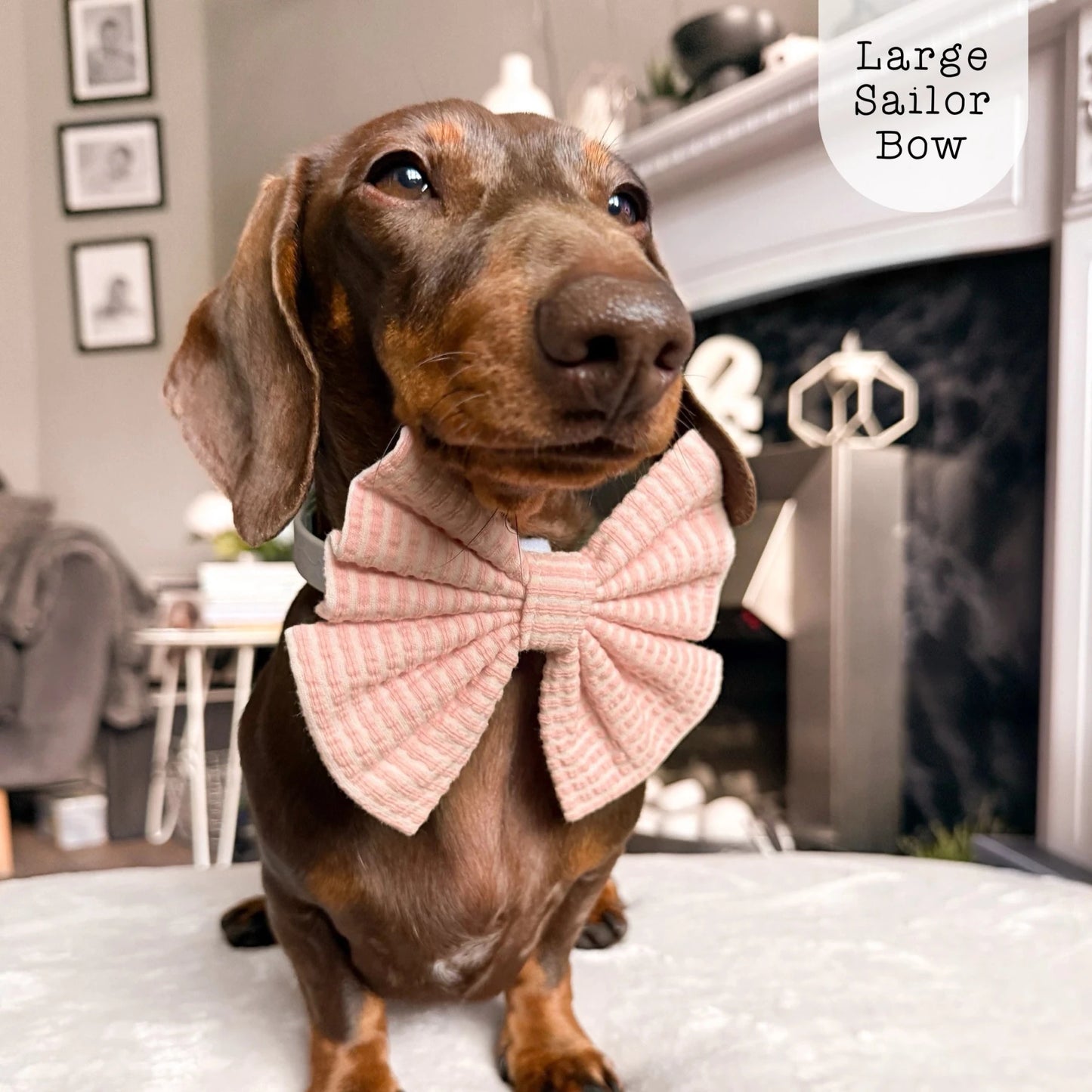 Sailor Bow - Sea Breeze - Coral - The Neutral Dog Company