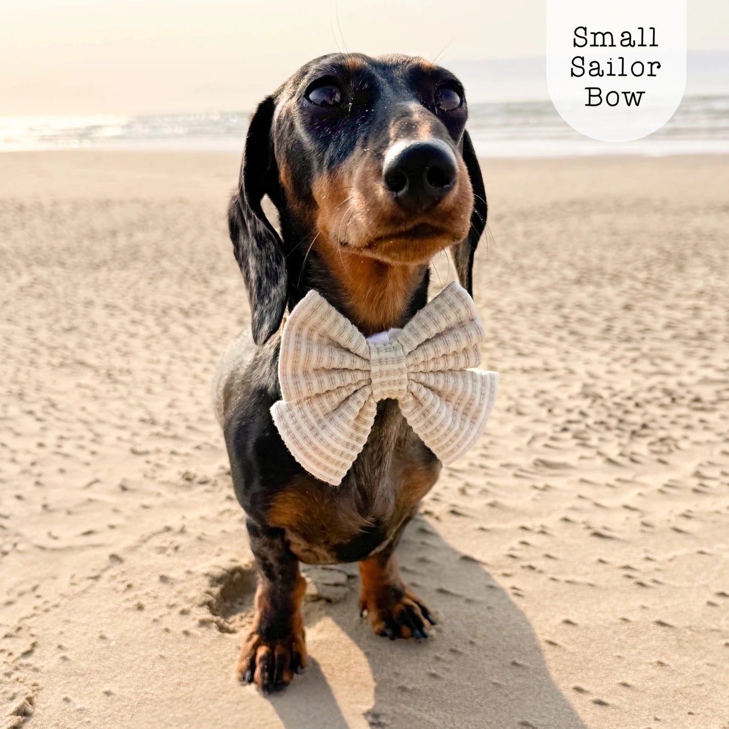 Sailor Bow - Sea Breeze - Sand - The Neutral Dog Company