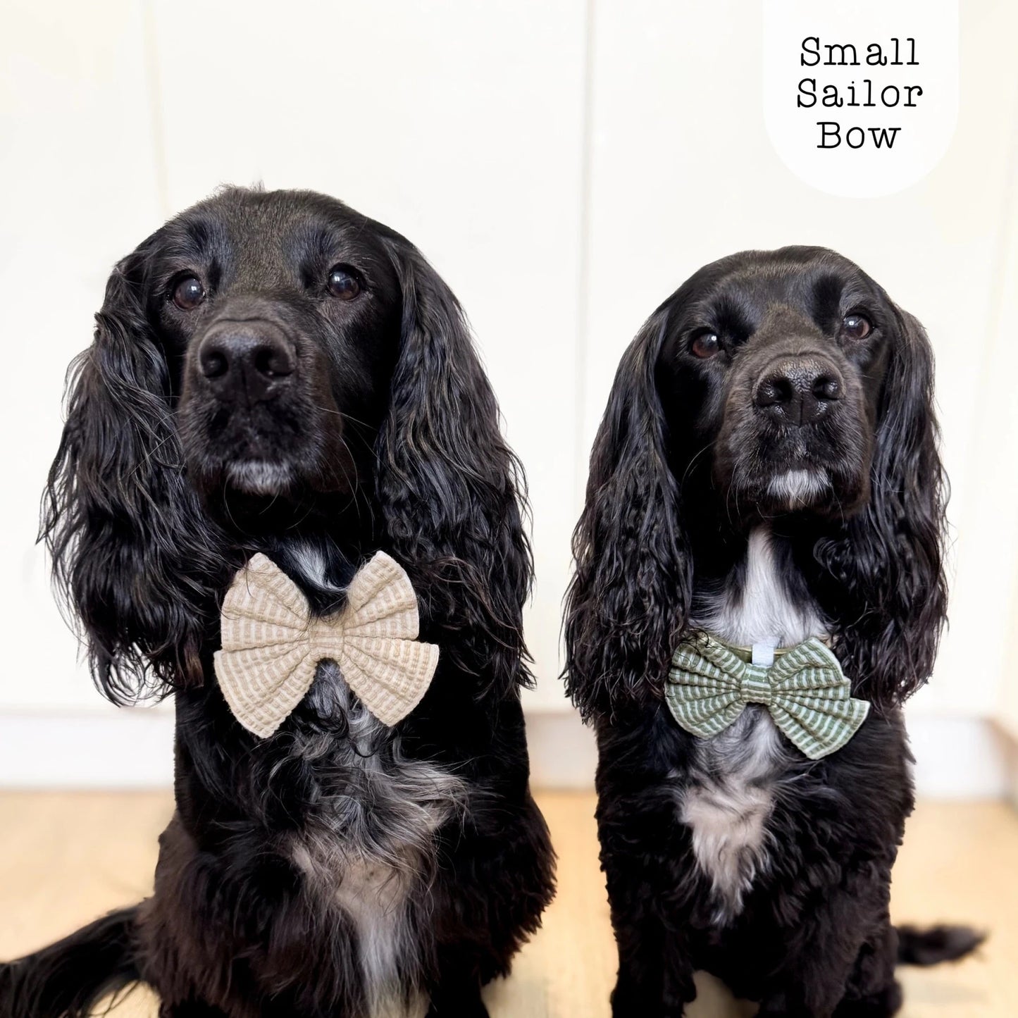 Sailor Bow - Sea Breeze - Sand - The Neutral Dog Company