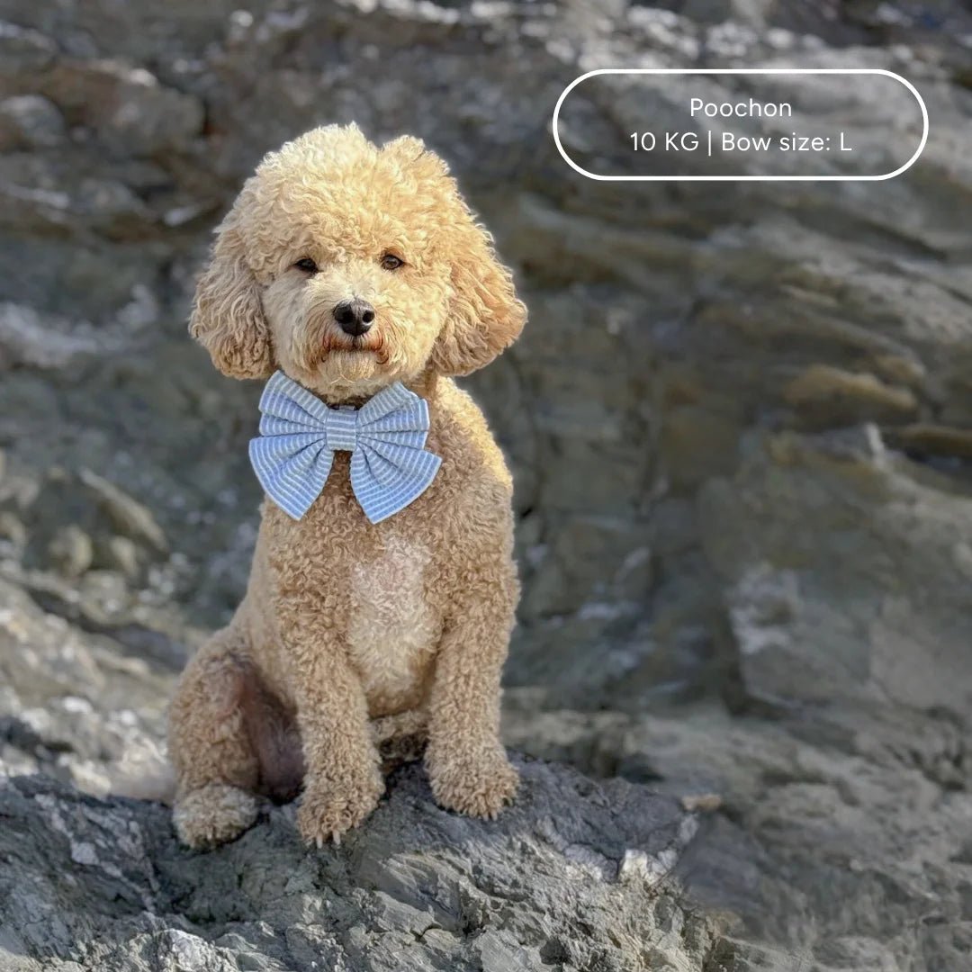 Sailor Bow - Sea Breeze - Tide - The Neutral Dog Company