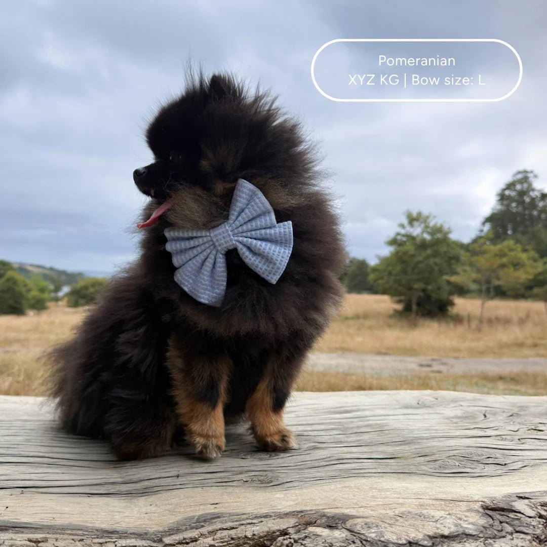 Sailor Bow - Sea Breeze - Tide - The Neutral Dog Company