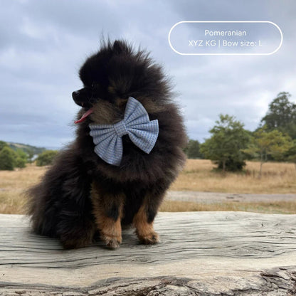 Sailor Bow - Sea Breeze - Tide - The Neutral Dog Company