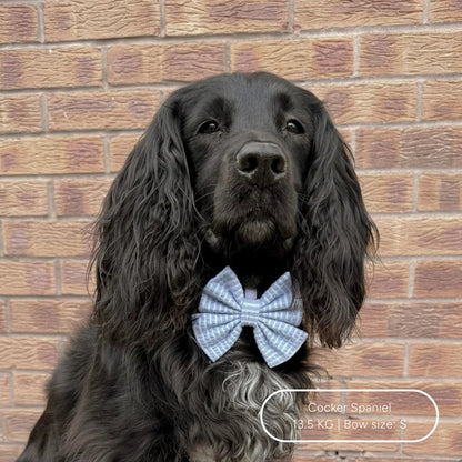 Sailor Bow - Sea Breeze - Tide - The Neutral Dog Company