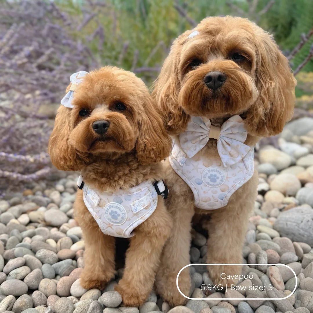 Sailor Bow - Seaside Serenity - The Neutral Dog Company