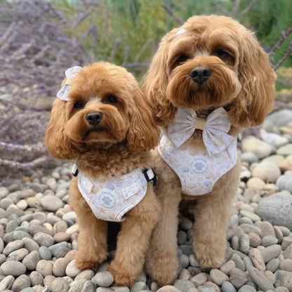 Small Bow Clip - Seaside Serenity - The Neutral Dog Company