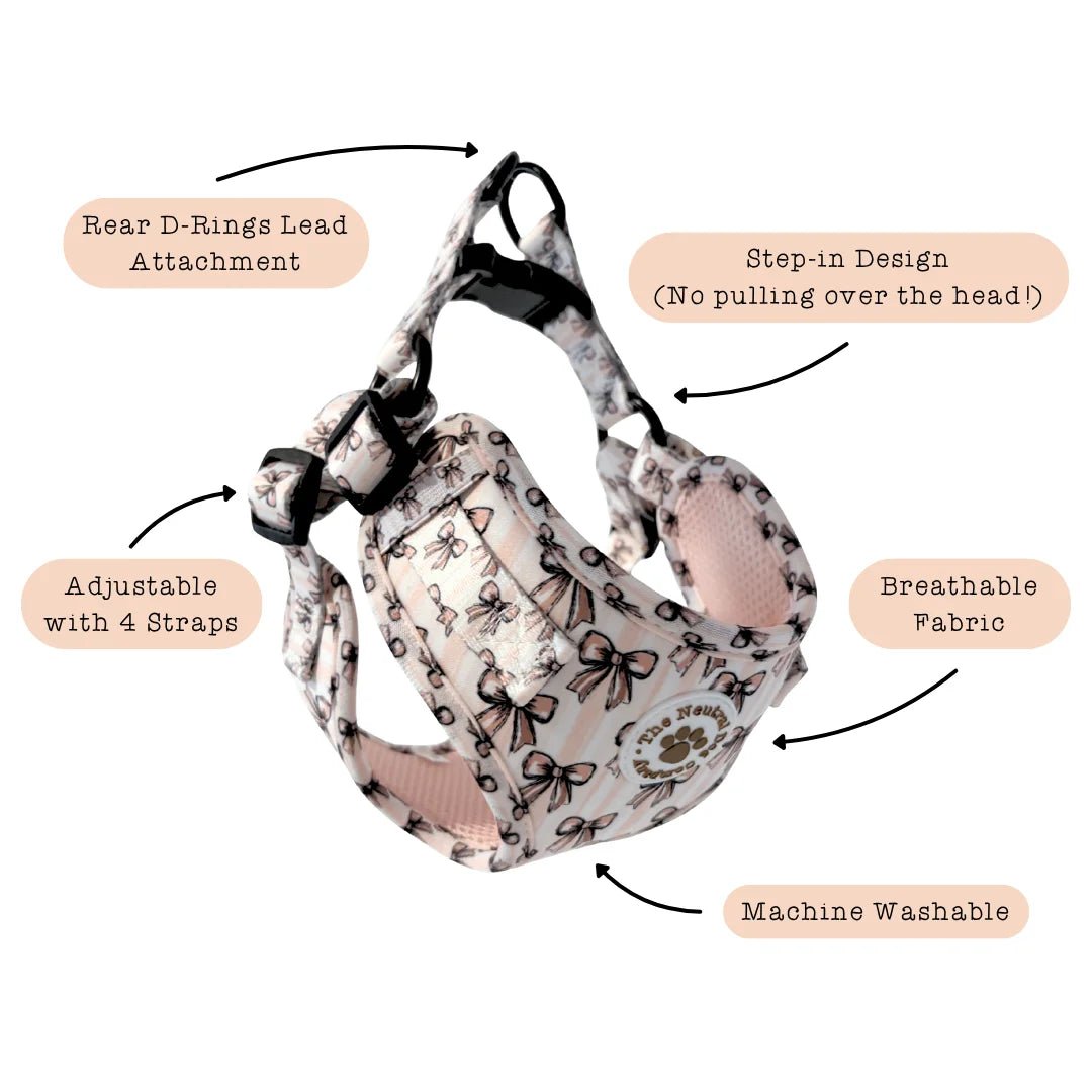 Starter Step-in Dog Harness Bundle - Biscotti Bows - The Neutral Dog Company