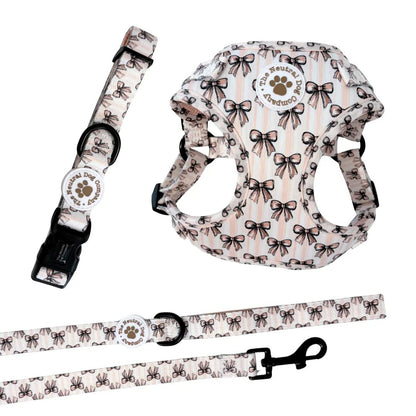 Starter Step-in Dog Harness Bundle - Biscotti Bows - The Neutral Dog Company