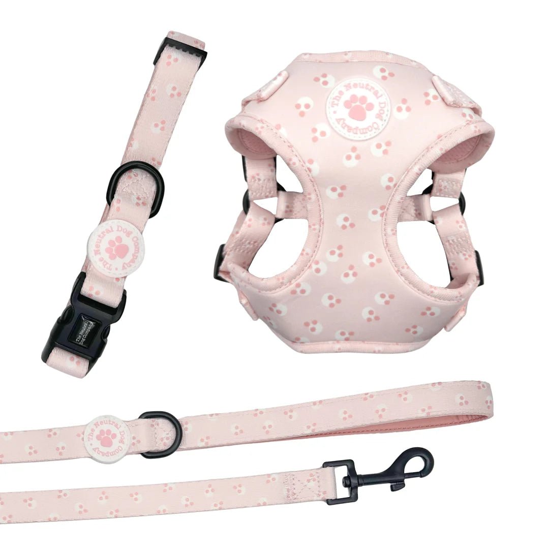 Starter Step-in Dog Harness Bundle - Cotton Candy - The Neutral Dog Company