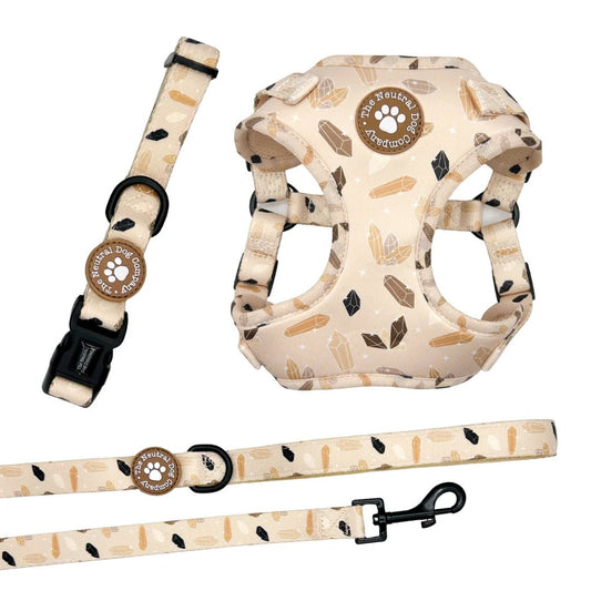 Starter Step-in Dog Harness Bundle - Crystal Couture - The Neutral Dog Company