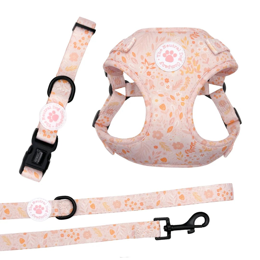 Starter Step-in Dog Harness Bundle - Floral Dreams - The Neutral Dog Company