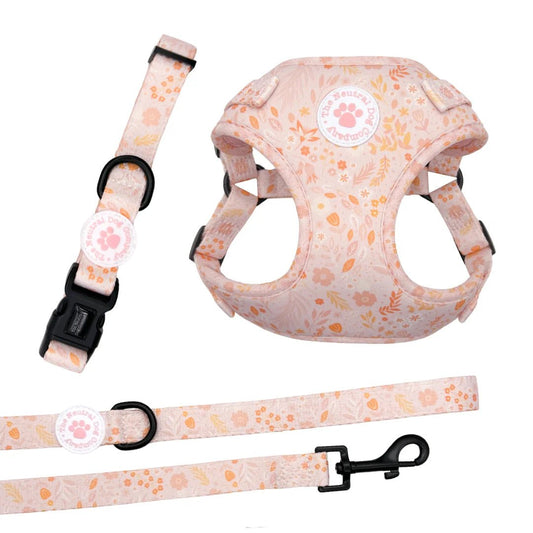 Starter Step-in Dog Harness Bundle - Floral Dreams - The Neutral Dog Company