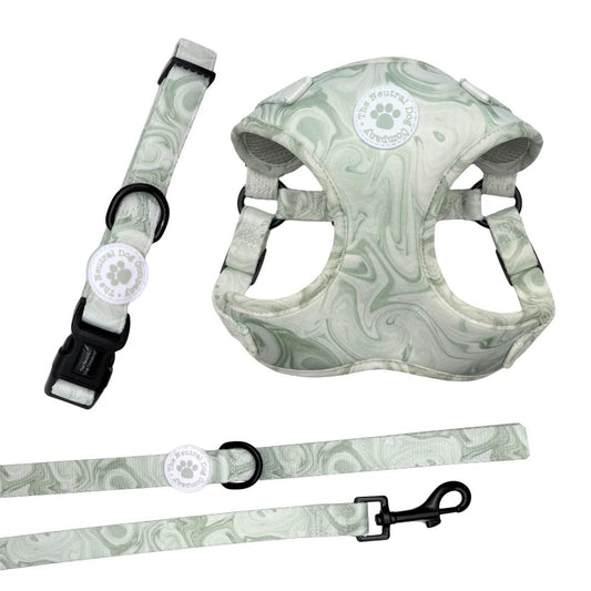 Starter Step-in Dog Harness Bundle - Pistachio Swirl - The Neutral Dog Company