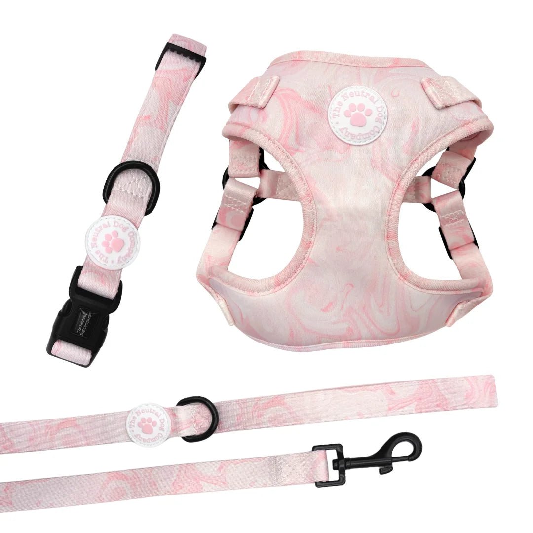 Starter Step-in Dog Harness Bundle - Strawberry Swirl - The Neutral Dog Company