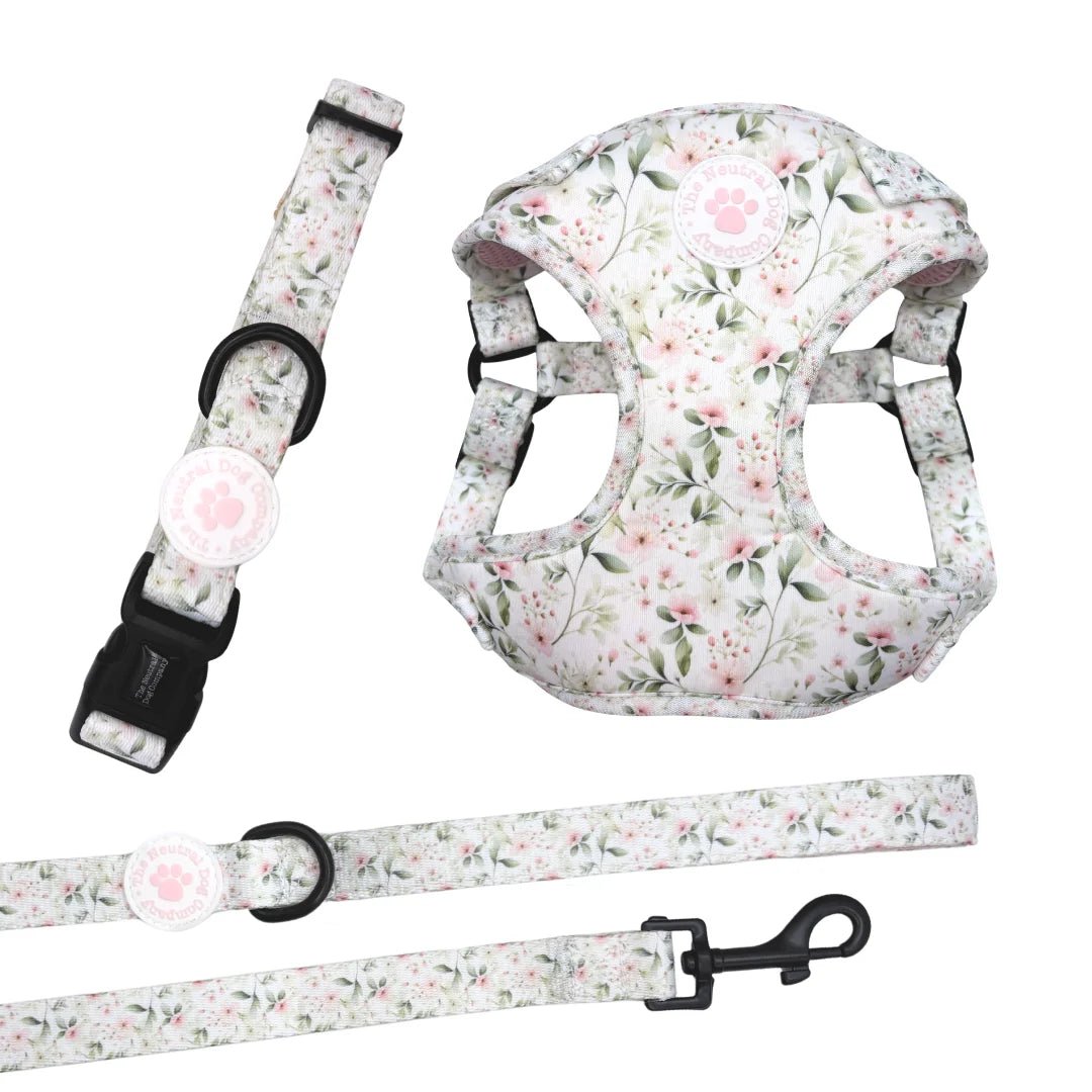 Starter Step-in Dog Harness Bundle - Wild Rose - The Neutral Dog Company