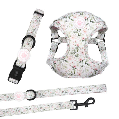 Starter Step-in Dog Harness Bundle - Wild Rose - The Neutral Dog Company